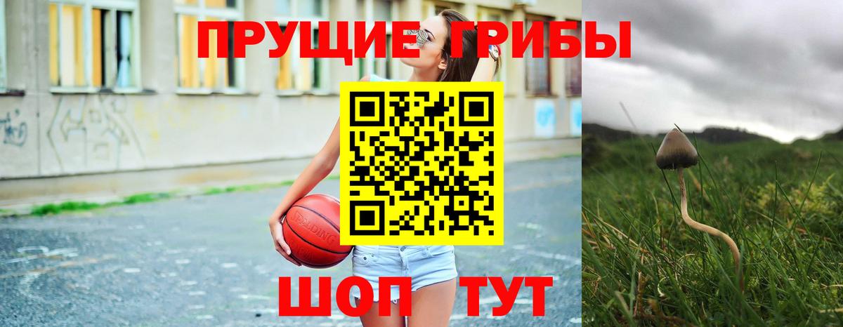 Псилоцибиновые грибы прущие грибы Гулькевичи